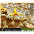 Herzlich willkommene Geflügel Huhn produzierende Ausrüstung für Masthähnchen und Hühner